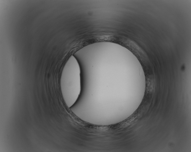 X0000097770377200803070906