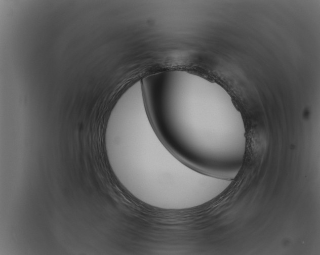 X0000097770380200803070906