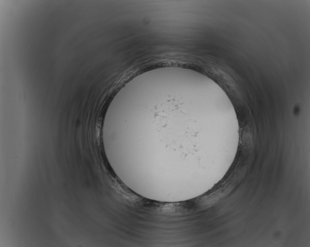 X0000097770382200803070906
