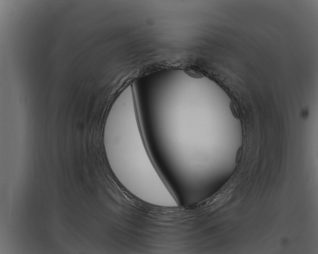 X0000097770384200803070906