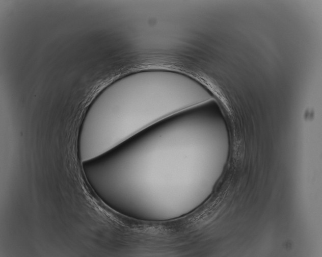 X0000097770385200803070906