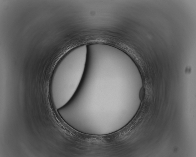 X0000097770386200803070906
