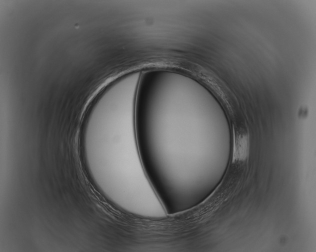 X0000097770387200803070906