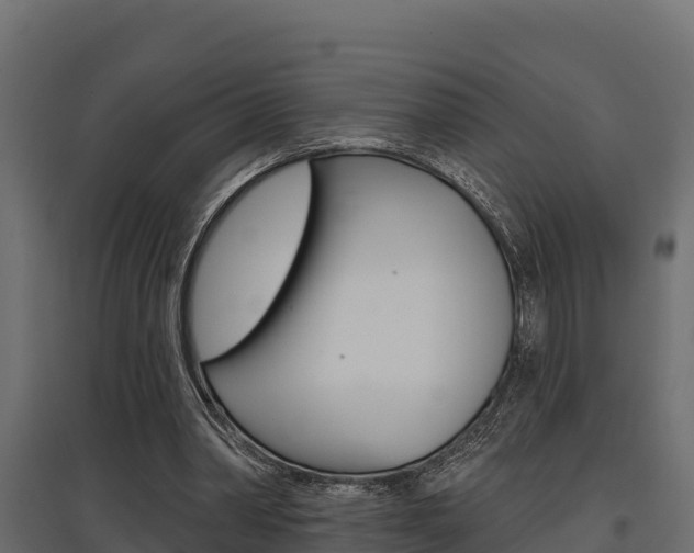 X0000097770390200803070906