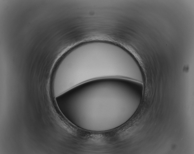 X0000097770391200803070906