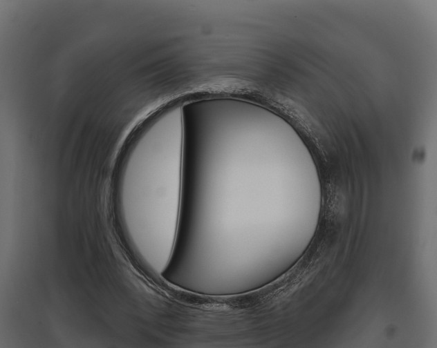 X0000097770392200803070906
