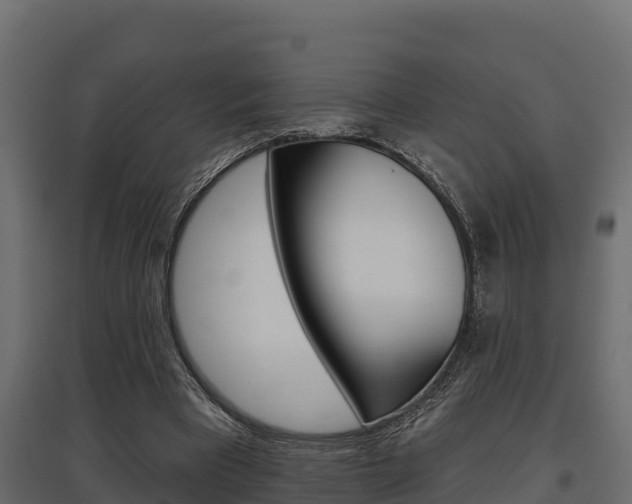 X0000097770393200803070906