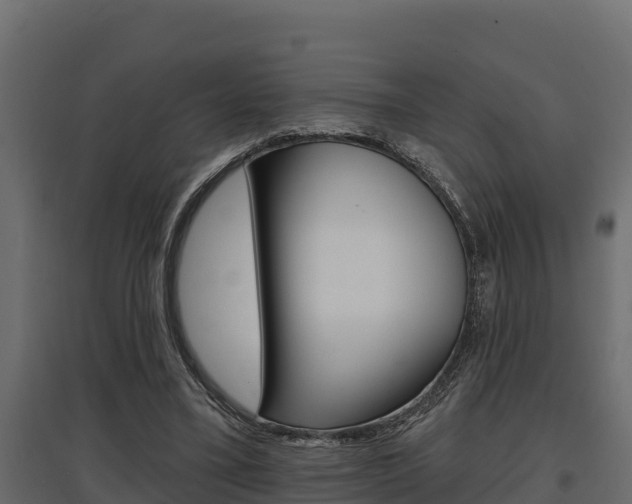 X0000097770395200803070906