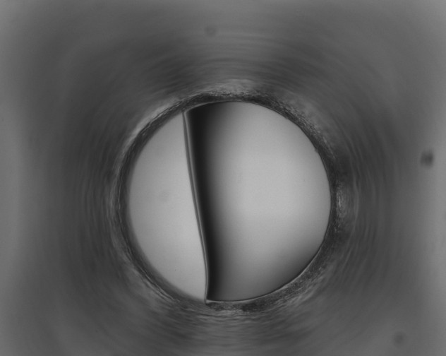 X0000097770396200803070906