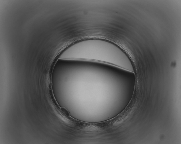 X0000097770397200803070906