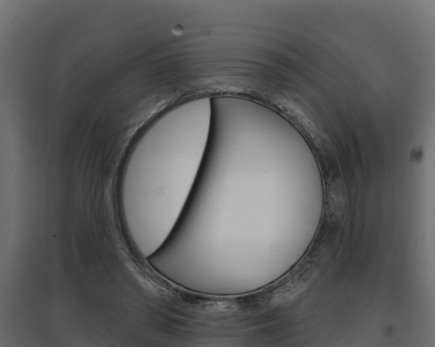 X0000097770398200803070906