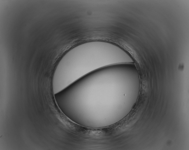 X0000097770401200803070905