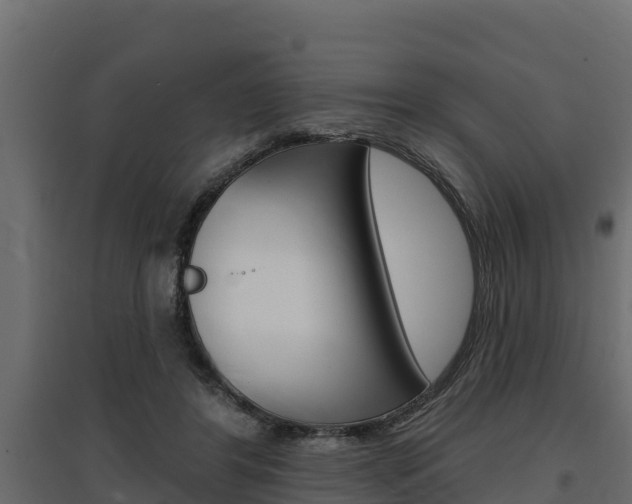 X0000097770404200803070905