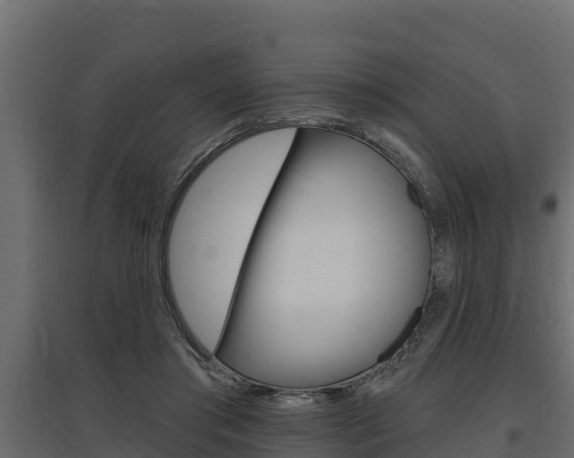 X0000097770405200803070905