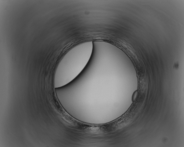 X0000097770406200803070905