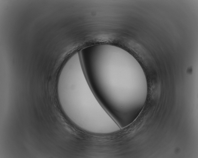 X0000097770407200803070905
