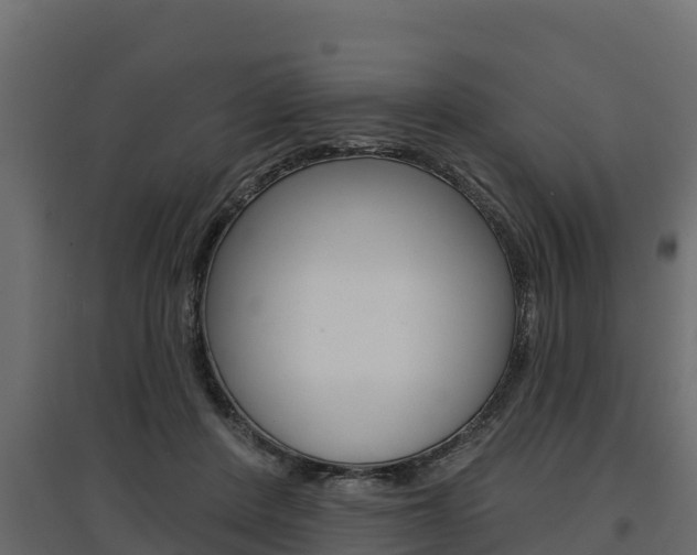 X0000097770408200803070905