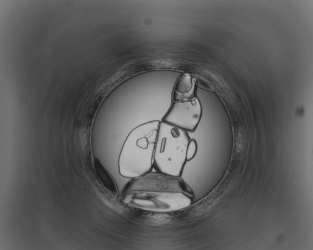 X0000097770409200803070905