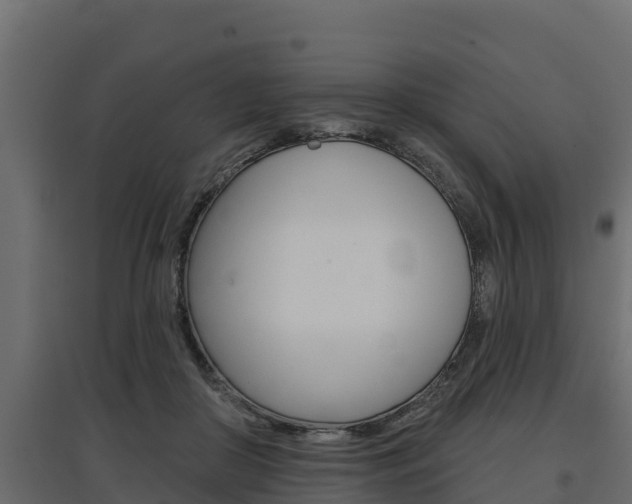 X0000097770410200803070905