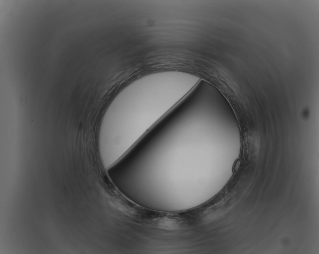 X0000097770412200803070905