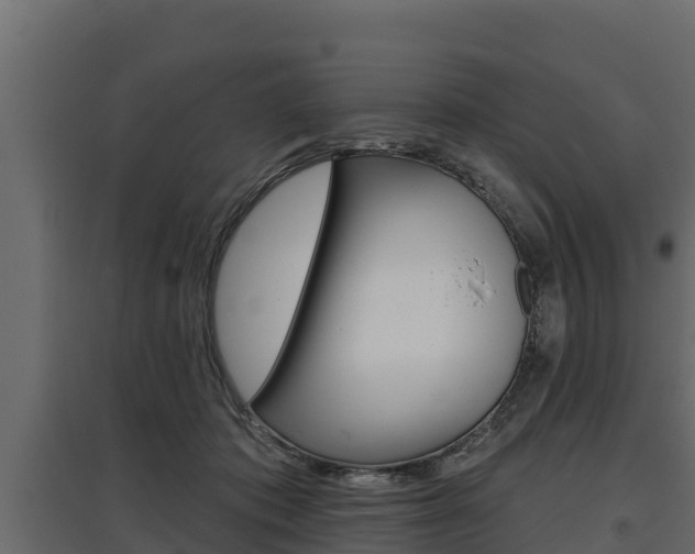 X0000097770413200803070905