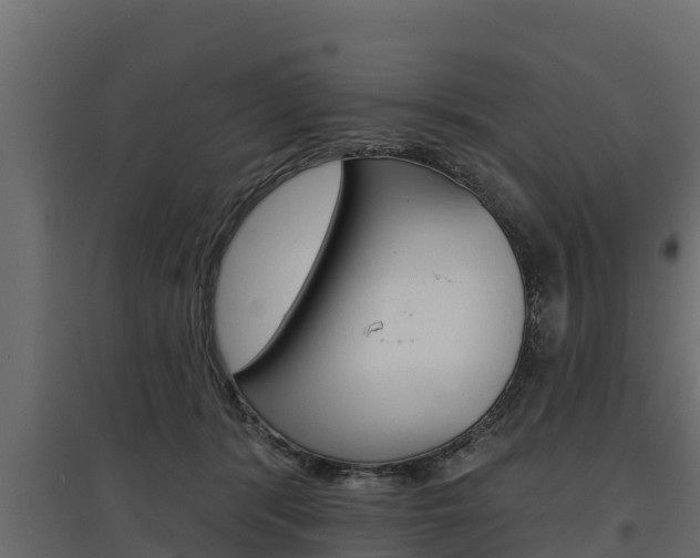 X0000097770416200803070905
