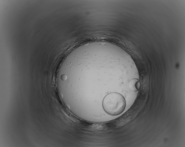 X0000097770418200803070905