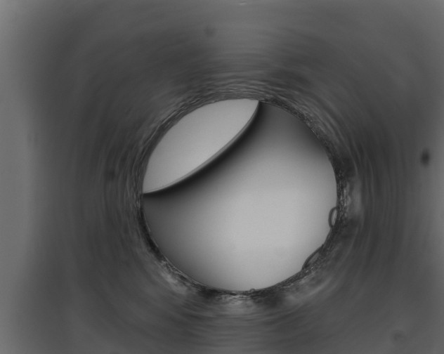 X0000097770424200803070905