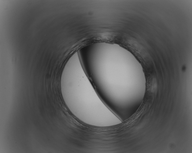 X0000097770425200803070905