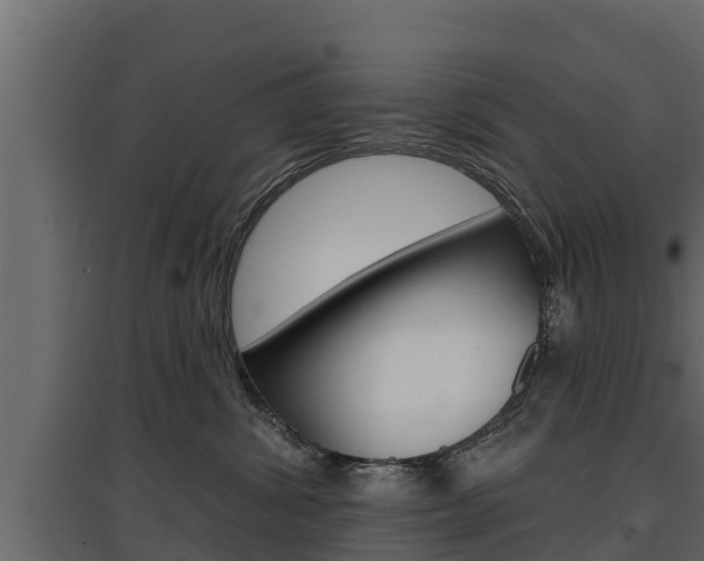 X0000097770428200803070905