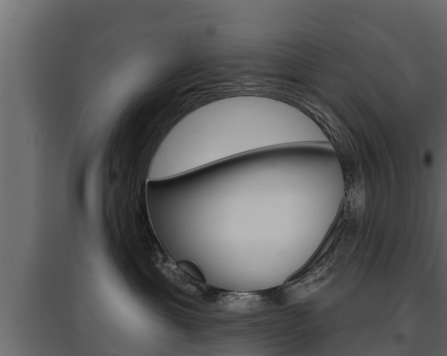 X0000097770429200803070905