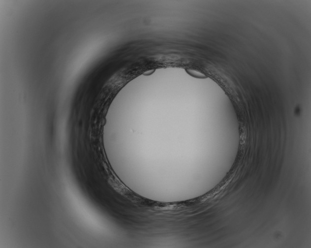X0000097770430200803070905