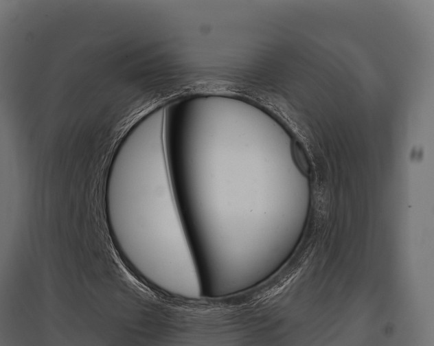 X0000097770433200803070904