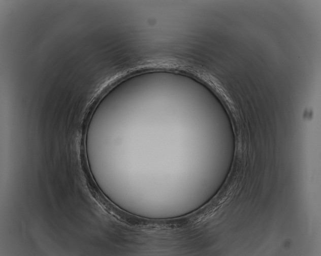 X0000097770434200803070904