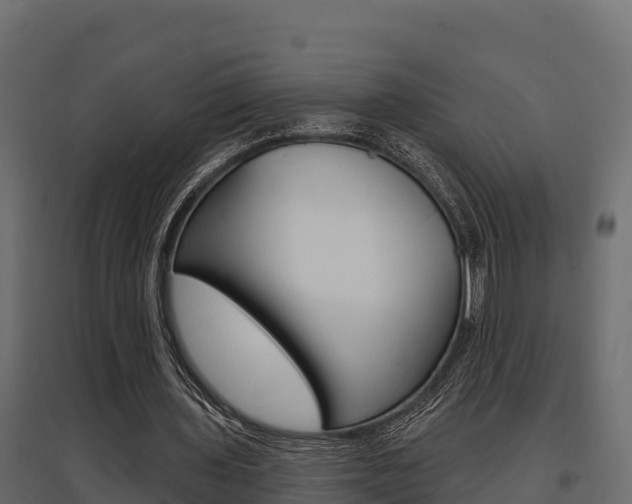 X0000097770435200803070904