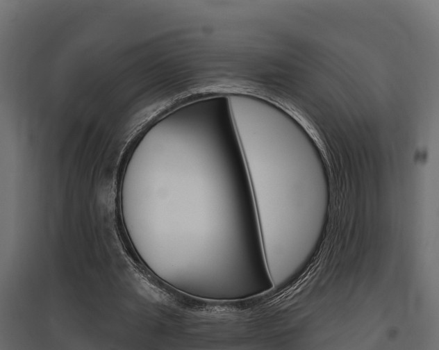X0000097770437200803070904
