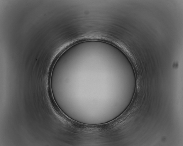X0000097770438200803070904