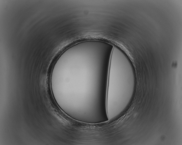X0000097770439200803070904