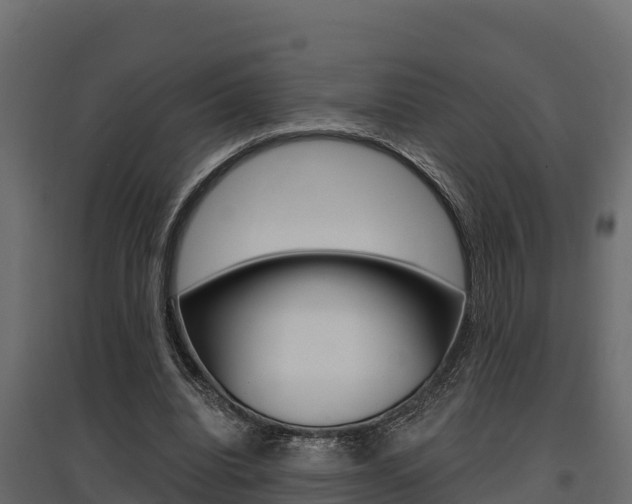 X0000097770440200803070904