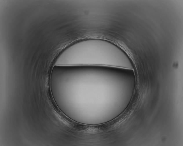 X0000097770441200803070904