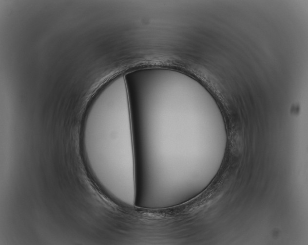 X0000097770442200803070904