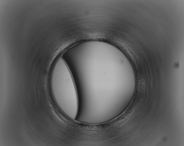 X0000097770443200803070904