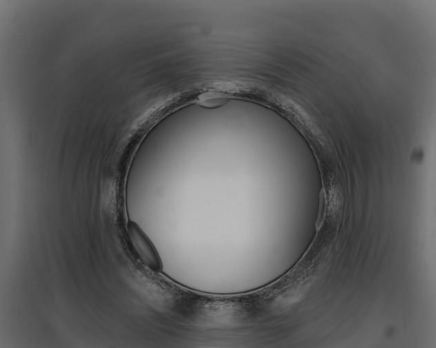 X0000097770444200803070904