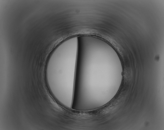 X0000097770445200803070905
