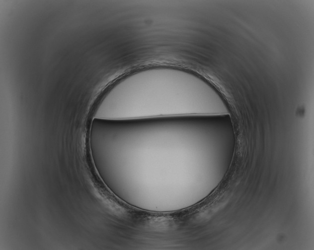 X0000097770446200803070905