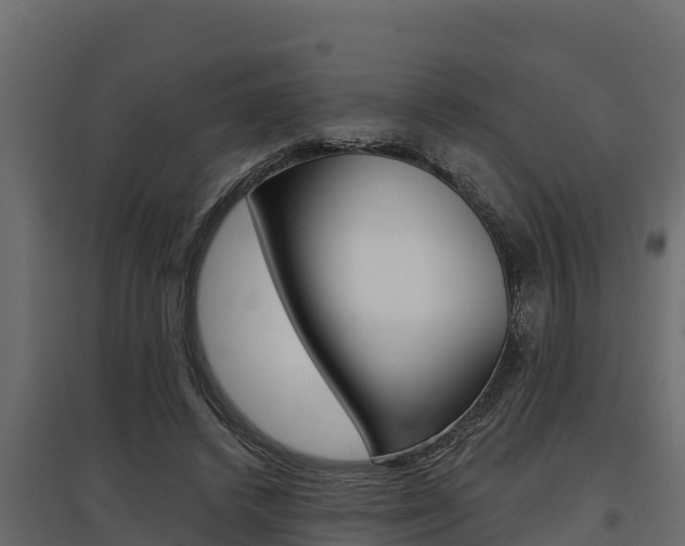 X0000097770448200803070905