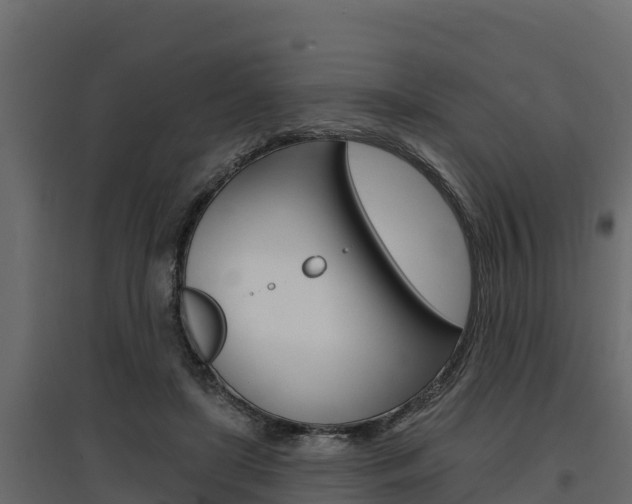 X0000097770451200803070905