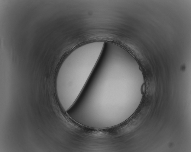 X0000097770453200803070905