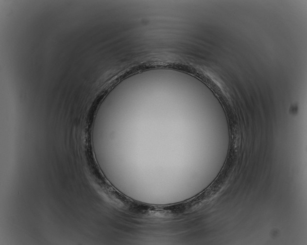 X0000097770455200803070905