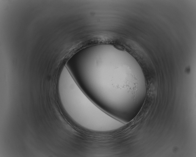 X0000097770456200803070905